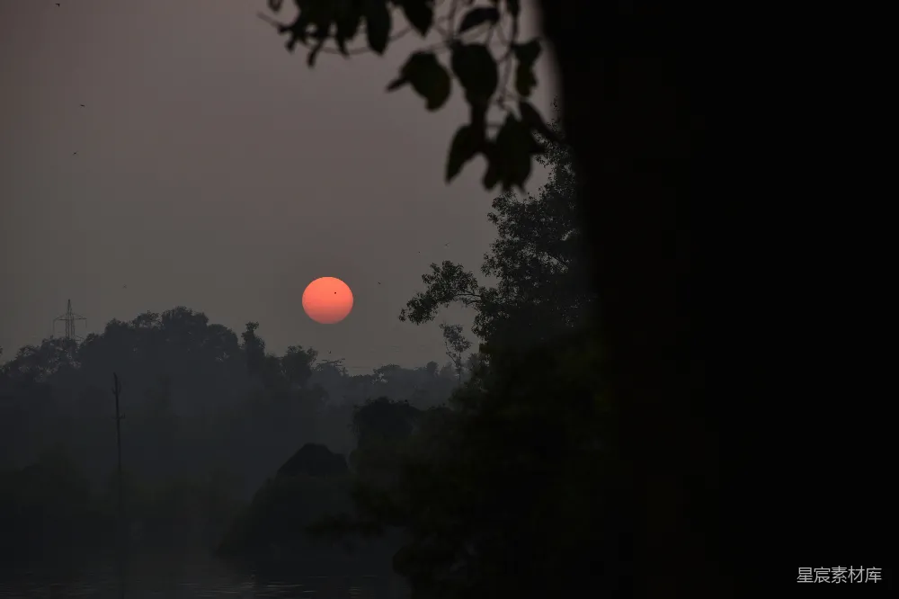 高清摄影 夕阳 自然 宁静 树木 黄昏 夕阳透过树叶