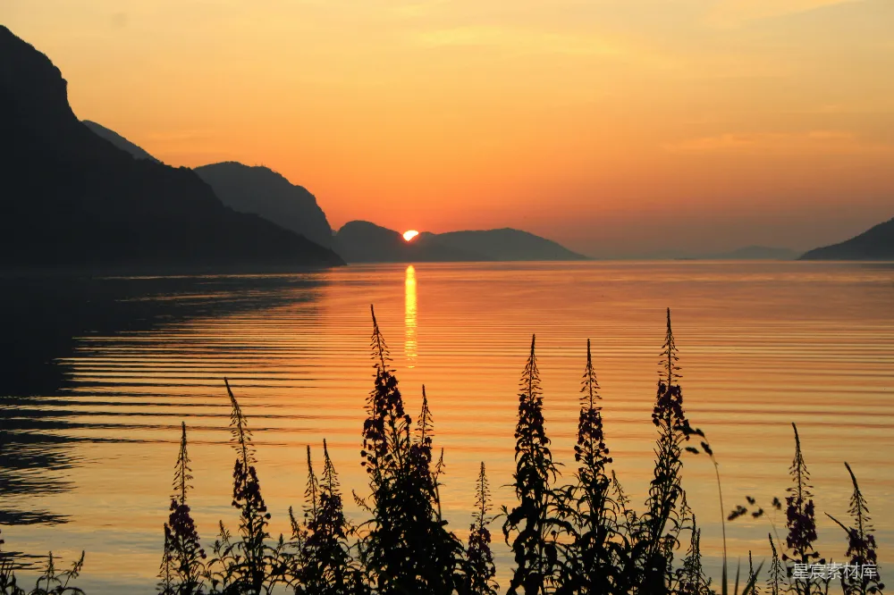 高清摄影 日落 湖景 宁静 自然 风景 日落时分的宁静湖景