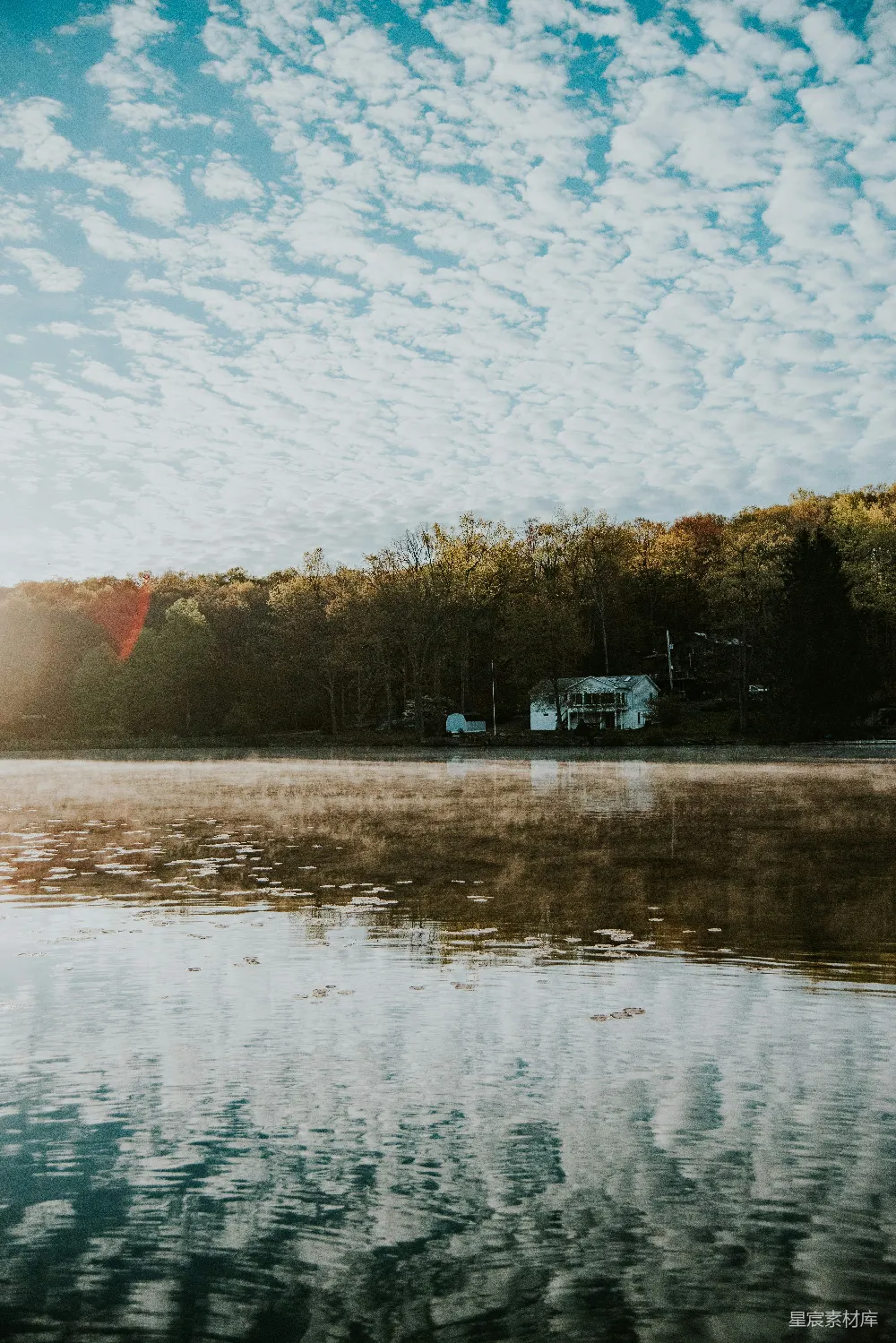 高清摄影 秋景 湖畔 晨雾 宁静 自然 秋日湖畔晨雾