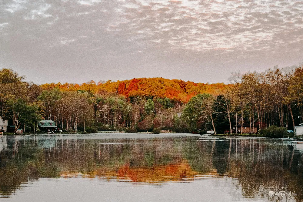 高清摄影 秋天 湖泊 自然风光 宁静 风景 秋日湖畔宁静的风景