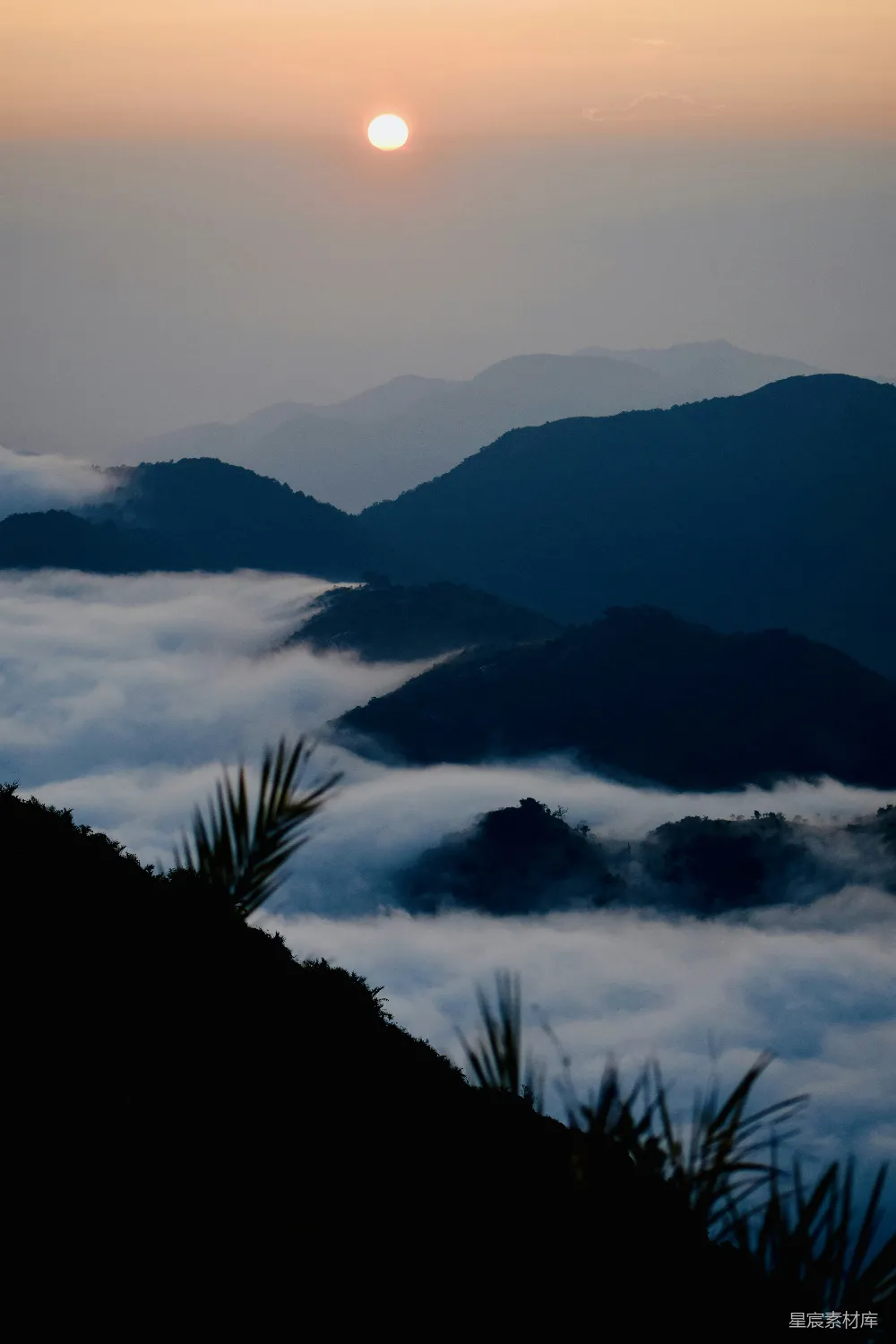 这张图片展示了清晨时分，山峦之间云雾缭绕的美丽景象。太阳刚刚升起，柔和的光线穿透薄雾，为整个场景披上了一层神秘的面纱。前景中，几片棕榈叶在微风中轻轻摇曳，与远处连绵起伏的山峦形成鲜明对比，营造出一种宁静而壮丽的自然画卷。