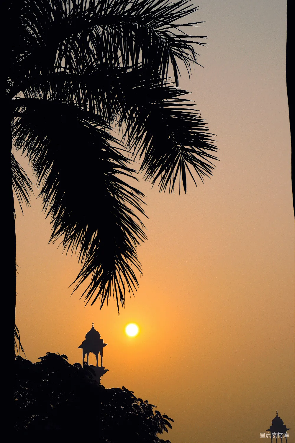 高清摄影 夕阳 棕榈树 剪影 建筑 宁静 夕阳下的棕榈树剪影
