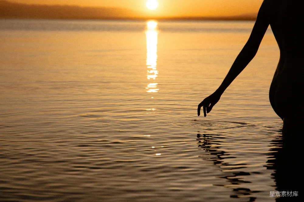 高清摄影 夕阳 湖畔 剪影 宁静 自然 夕阳下的湖畔剪影