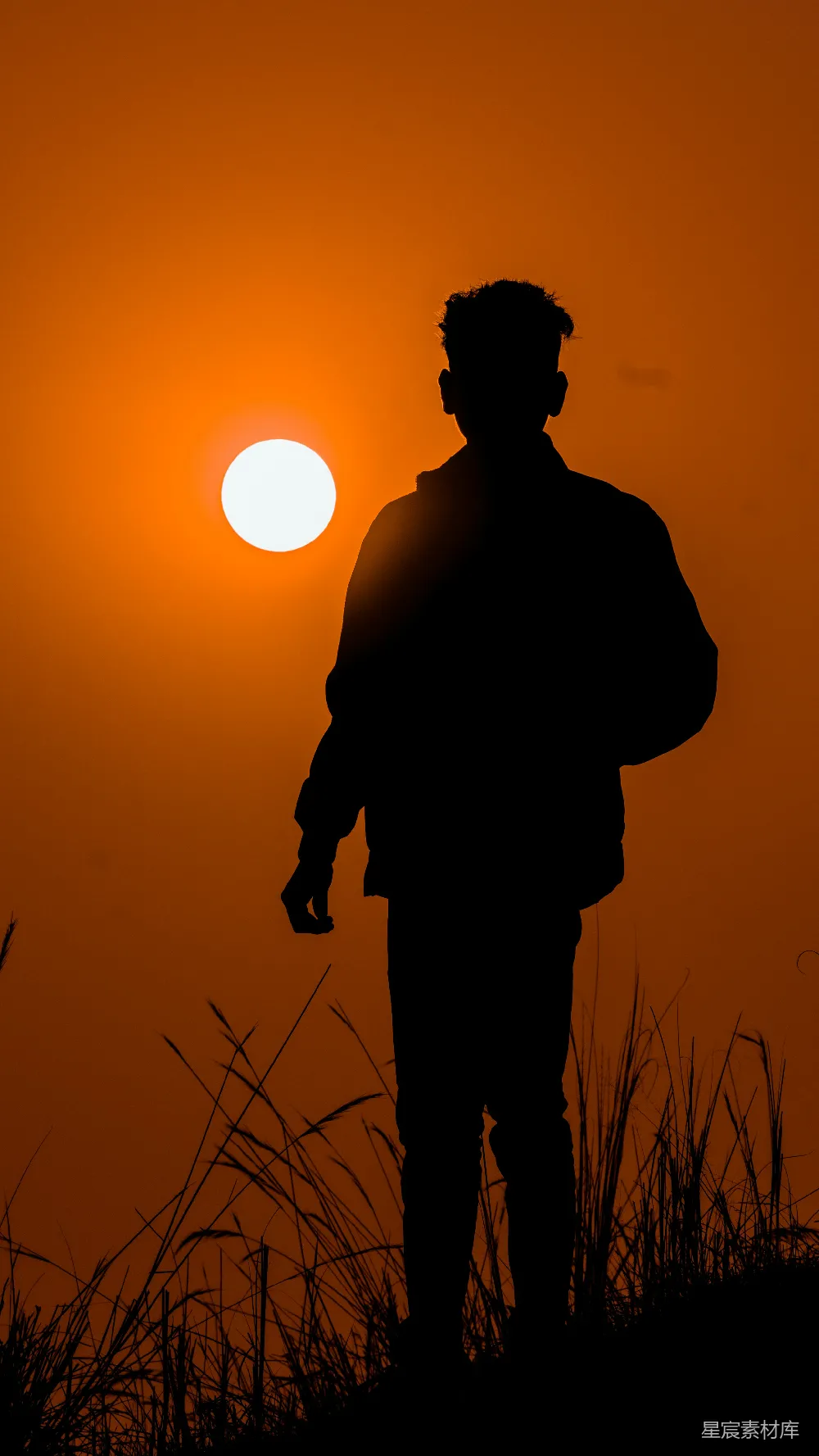 高清摄影 剪影 夕阳 孤独 自然 宁静 夕阳下的剪影