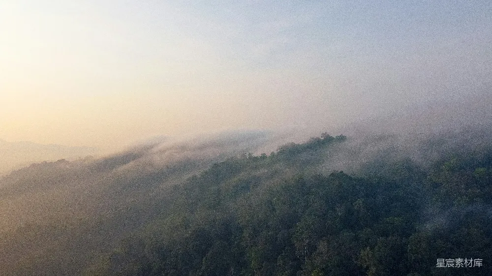 高清摄影 晨雾 山林 自然风光 宁静 户外 晨雾笼罩的山林