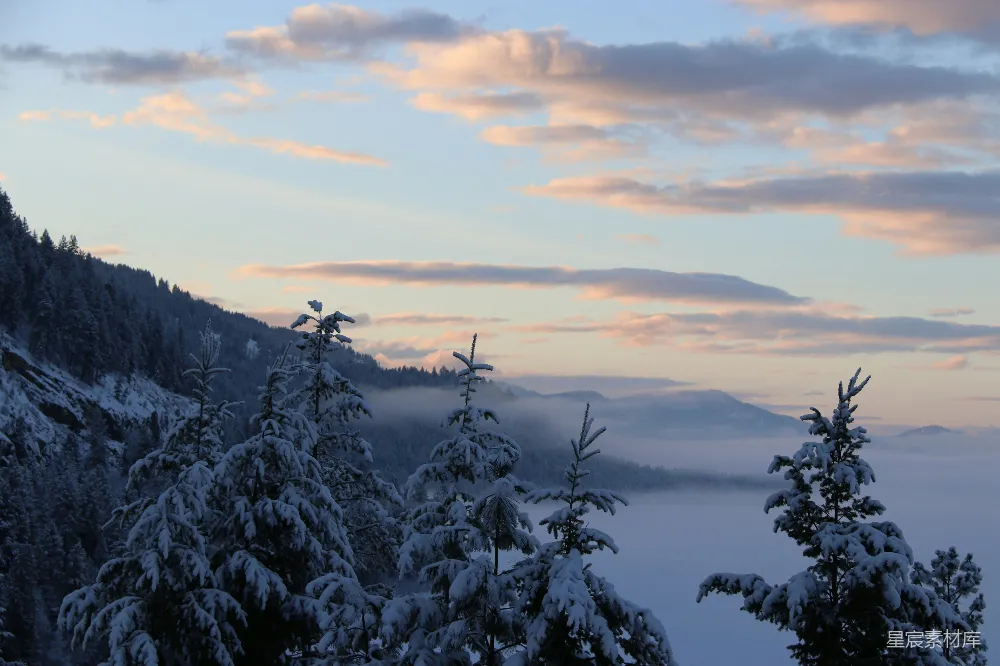 高清摄影 雪景 晨曦 自然风光 冬季 宁静 冬日晨曦下的雪景