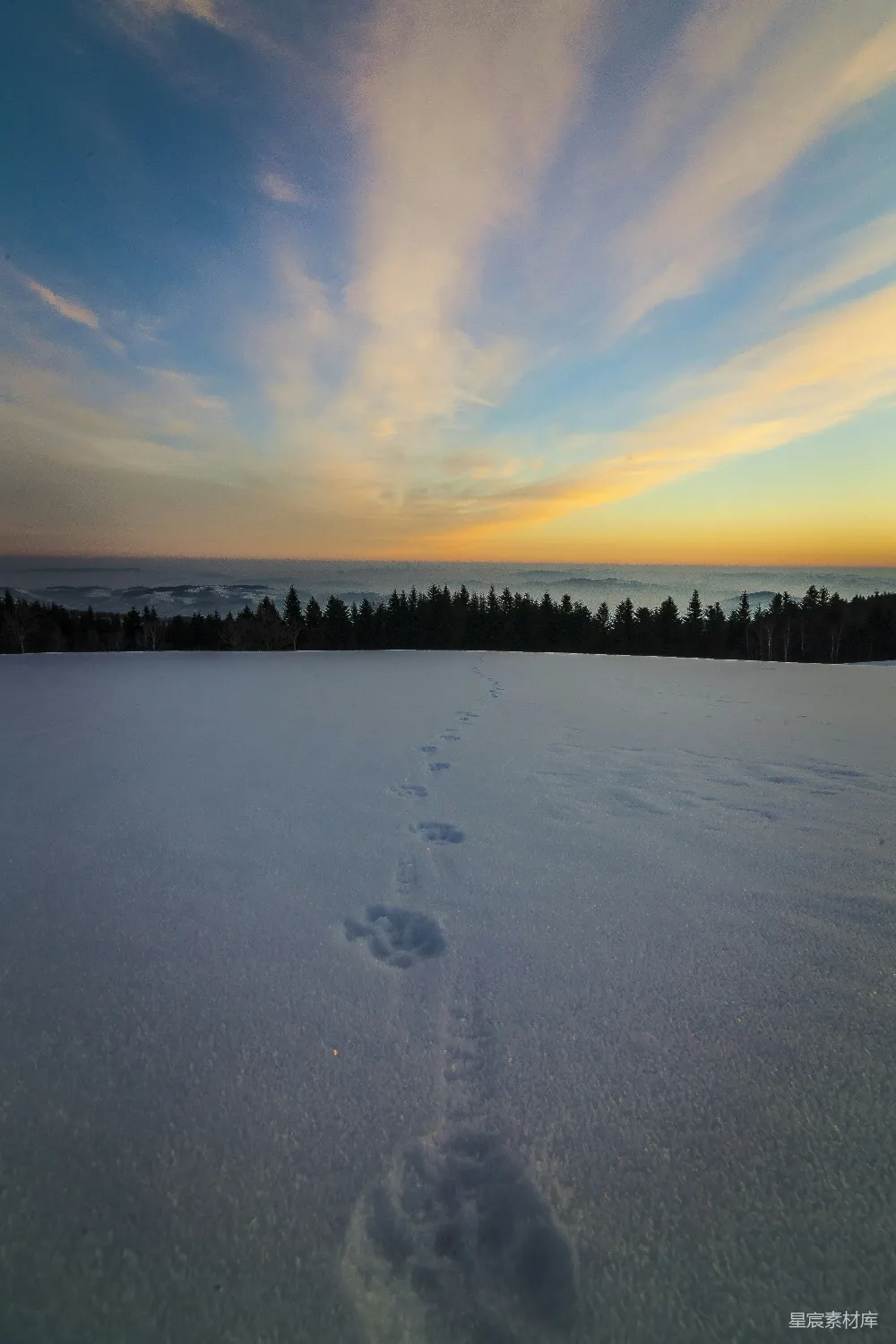 高清摄影 自然风光 冬季 宁静 户外 自然 雪地上的足迹与夕阳