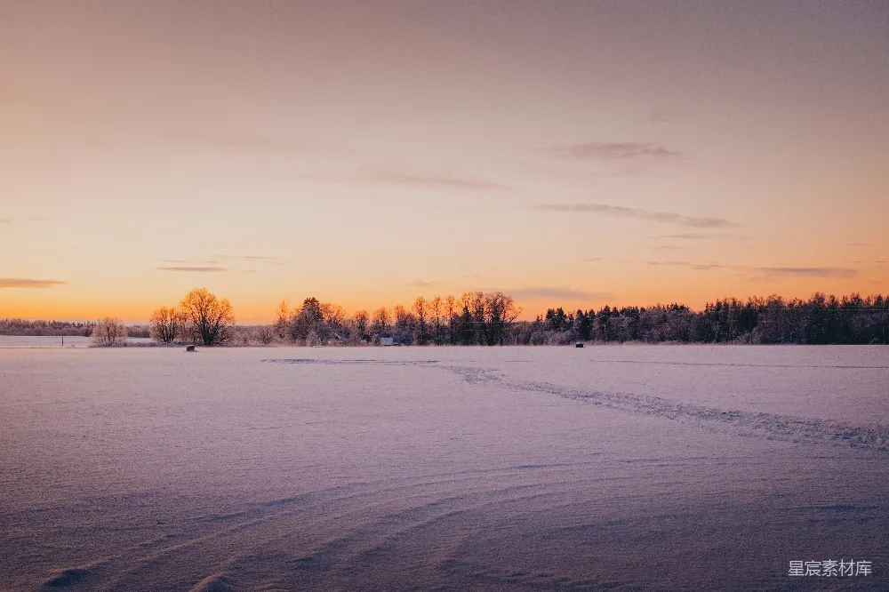 高清摄影 冬日 雪景 晨曦 宁静 自然 冬日晨曦的宁静雪景