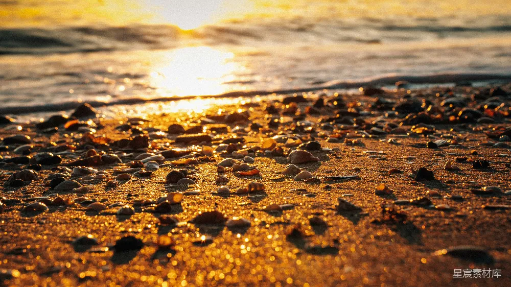 高清摄影 海滩 夕阳 自然 金色 宁静 夕阳下的海滩