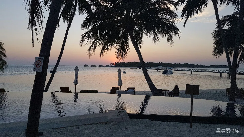 高清摄影 度假 海滩 日落 泳池 棕榈树 夕阳下的热带度假泳池