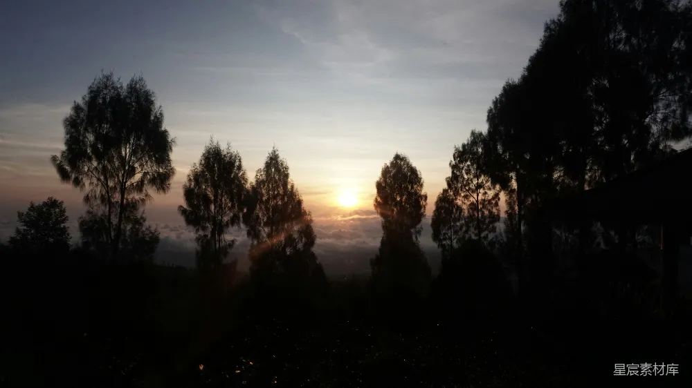 这张图片捕捉到了日落时分的宁静时刻。夕阳的余晖穿透云层，洒在一片树影上，形成了美丽的剪影效果。树木的轮廓在黑暗中显得格外突出，营造出一种宁静而祥和的氛围，适合用于表达自然之美和放松心情的主题。