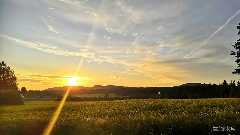 这张图片展示了夕阳下的油菜花田，金黄色的花朵在夕阳的余晖下显得格外耀眼。天空中飘着几朵云彩，远处的山丘和树木在夕阳的映照下呈现出美丽的轮廓。整个场景给人一种宁静而祥和的感觉，适合用作自然风光、田园生活或旅游宣传的素材。