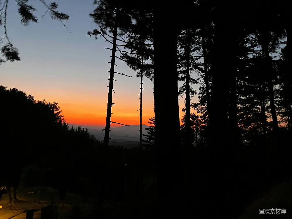 高清摄影 森林 日落 剪影 自然 宁静 夕阳下的森林剪影