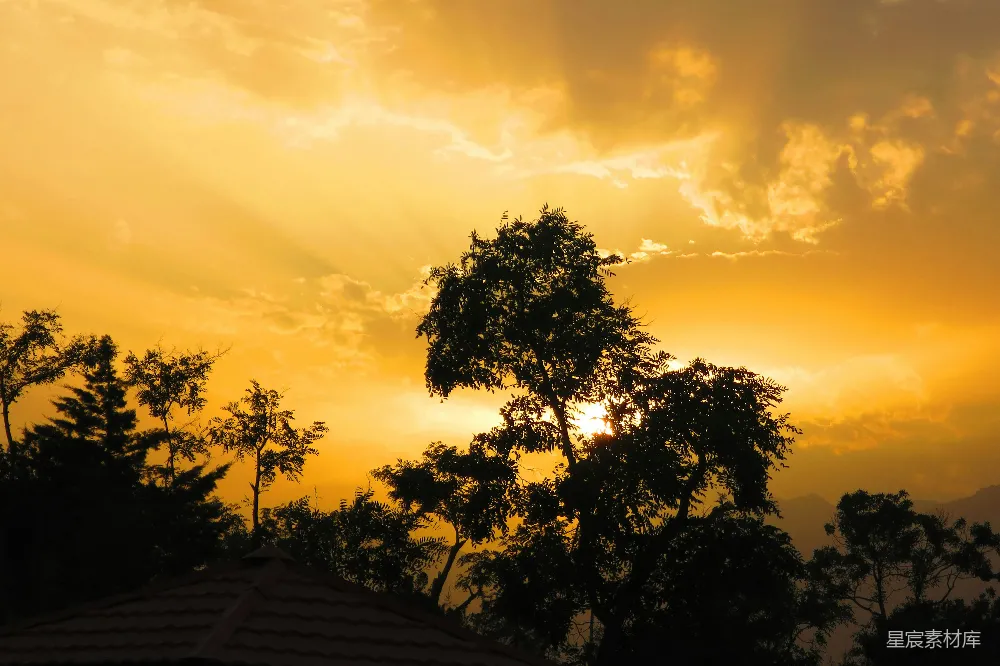 高清摄影 夕阳 树影 自然 宁静 风景 夕阳余晖下的树影