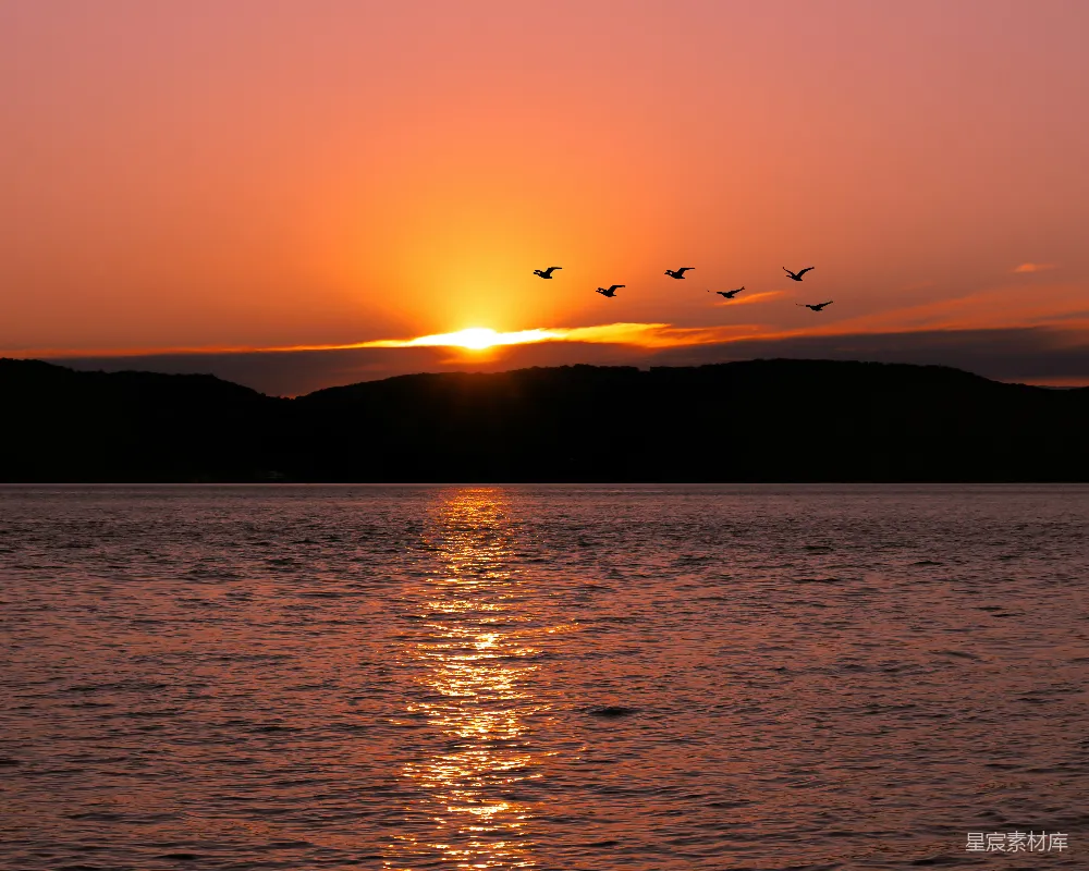 图片展示了一幅宁静的湖景，夕阳的余晖洒在水面上，形成了美丽的反光。天空中飞过一群鸟儿，增添了画面的动感。整个场景显得非常宁静和美丽，适合用作自然风光或旅游宣传的背景图。