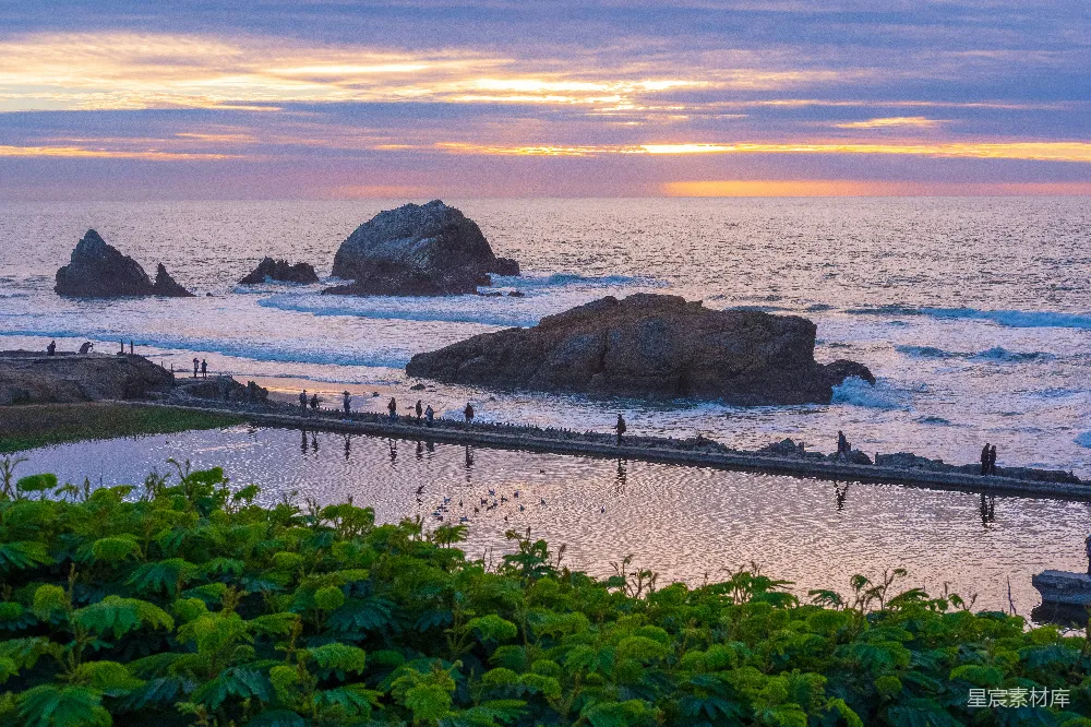 这张图片展示了一个美丽的日落场景，夕阳的余晖洒在海面上，形成了一幅壮观的色彩画卷。海岸线上的岩石和沙滩上的人们在享受着这宁静的时刻。前景中的绿色植物为画面增添了一抹生机，整个场景透露出一种平和与宁静的氛围。