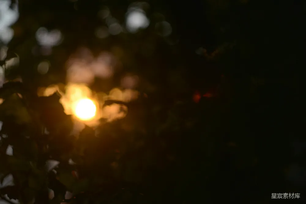 高清摄影 自然光 模糊艺术 夕阳 树叶 自然场景 夕阳透过树叶的光斑