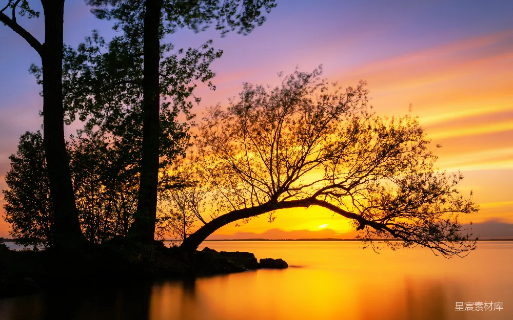 高清摄影 夕阳 湖景 静谧 自然 风景 夕阳下的静谧湖岸