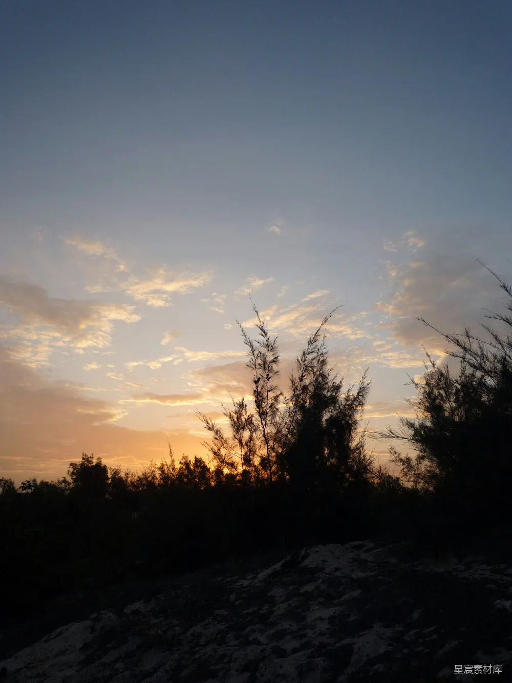 高清摄影 日落 森林 宁静 自然 风景 日落时分的寂静森林
