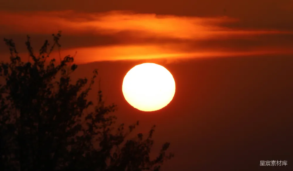 高清摄影 夕阳 剪影 自然风光 宁静 日落 夕阳下的剪影