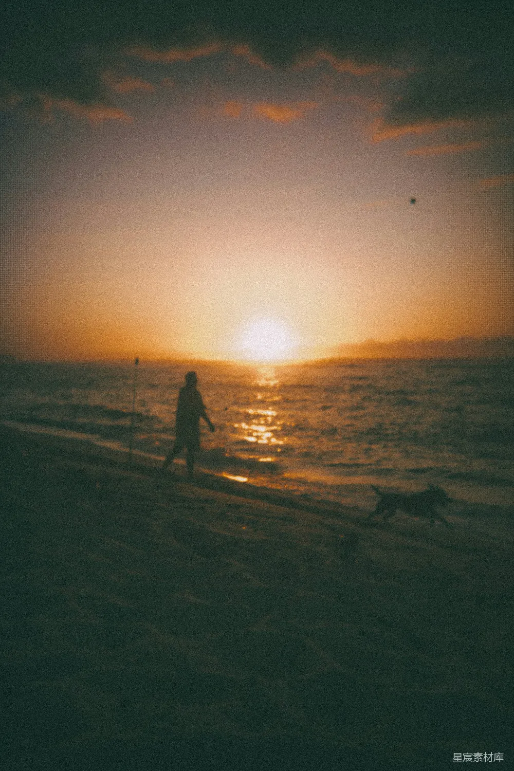 高清摄影 海滩 夕阳 剪影 休闲 自然 夕阳下的海滩漫步
