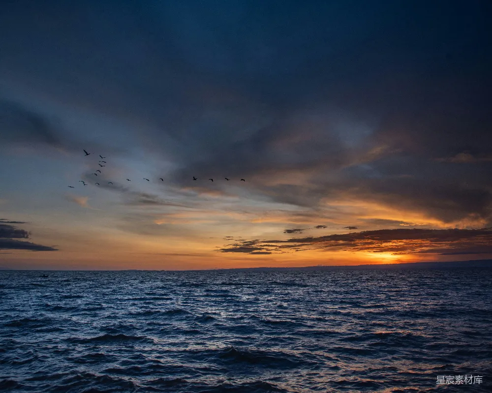 这张图片展示了一群鸟在黄昏时分飞过海面的场景。天空被夕阳染成了橙黄色，云层被染成了柔和的金红色，而海面则呈现出深蓝色的波纹。整个画面给人一种宁静而美好的感觉，适合用作自然风光、旅行或写意作品的背景。