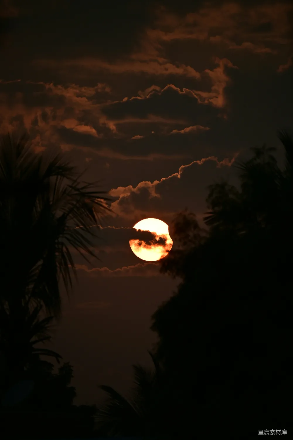 高清摄影 自然风光 日落 树木 宁静 风景 夕阳西下