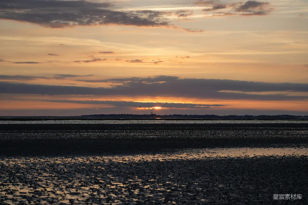 高清摄影 夕阳 湿地 宁静 自然 日落 夕阳下的湿地