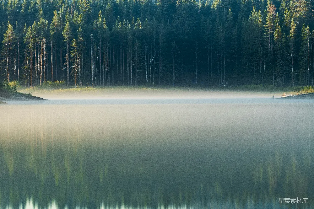 高清摄影 自然风景 宁静 晨雾 湖泊 森林 晨雾中的静谧湖面