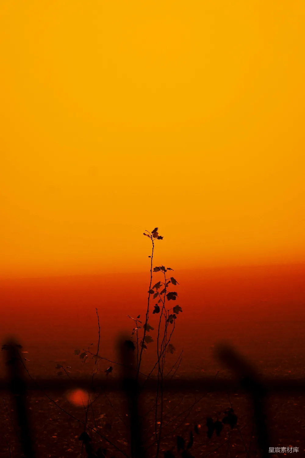 高清摄影 夕阳 剪影 自然 宁静 风景 夕阳下的剪影