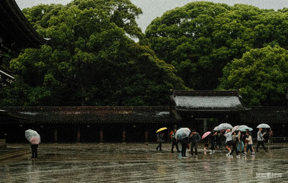 高清摄影 雨景 神社 传统建筑 自然风光 城市生活 雨中的神社