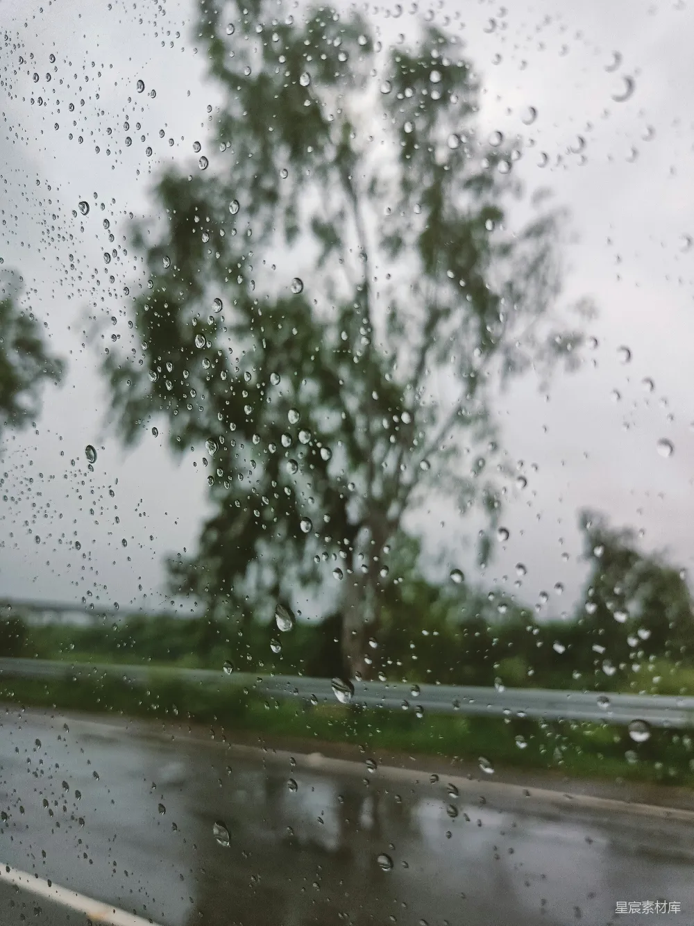 高清摄影 雨景 窗外 自然 湿润 宁静 窗外雨景