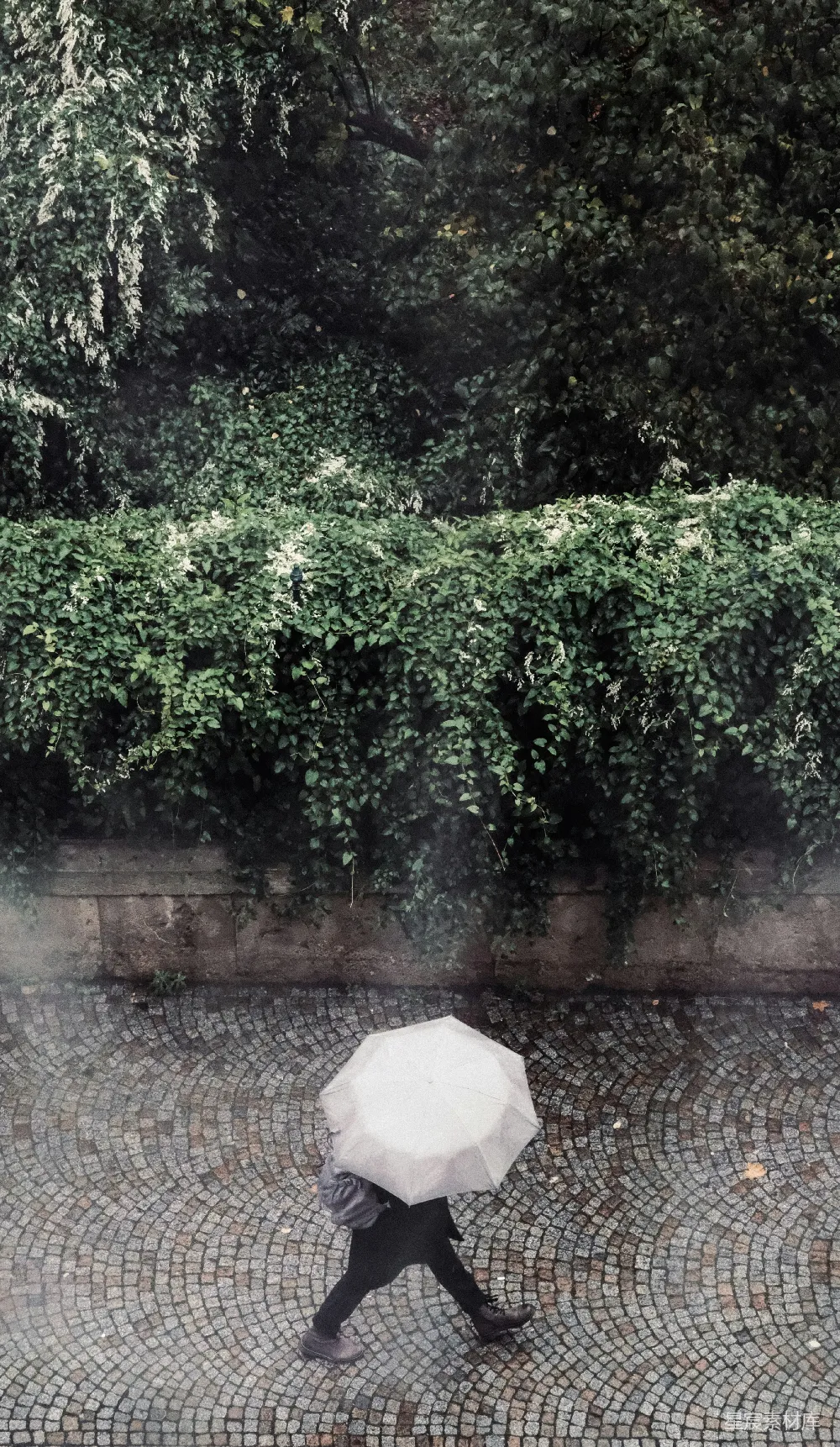 高清摄影 雨天 孤独 伞 石板路 自然 雨中漫步