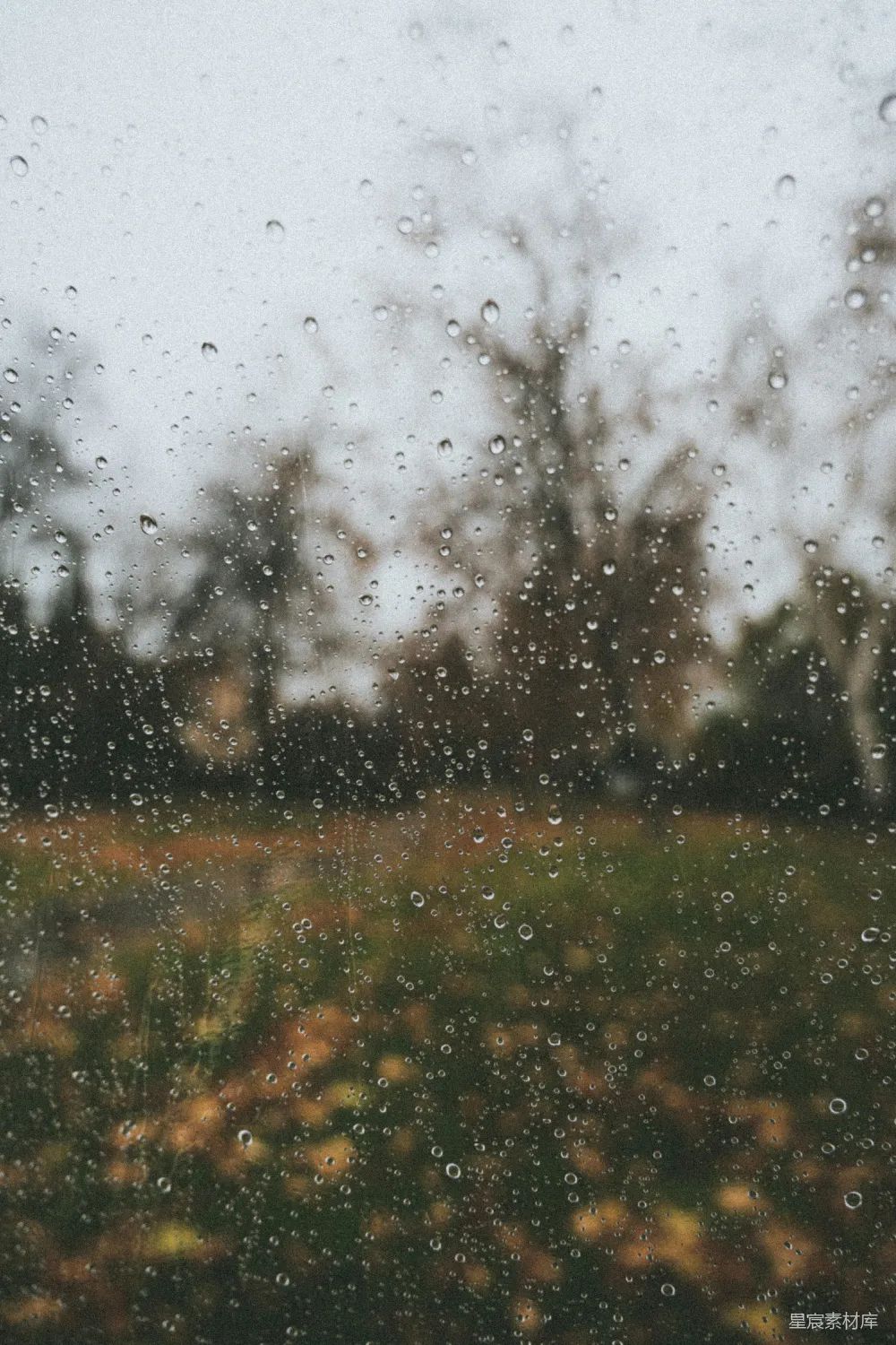 高清摄影 雨滴 窗外风景 自然风光 雨天 平静 窗外的雨滴