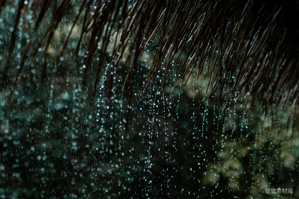 高清摄影 自然 雨后 水珠 清新 宁静 雨后草尖上的水珠
