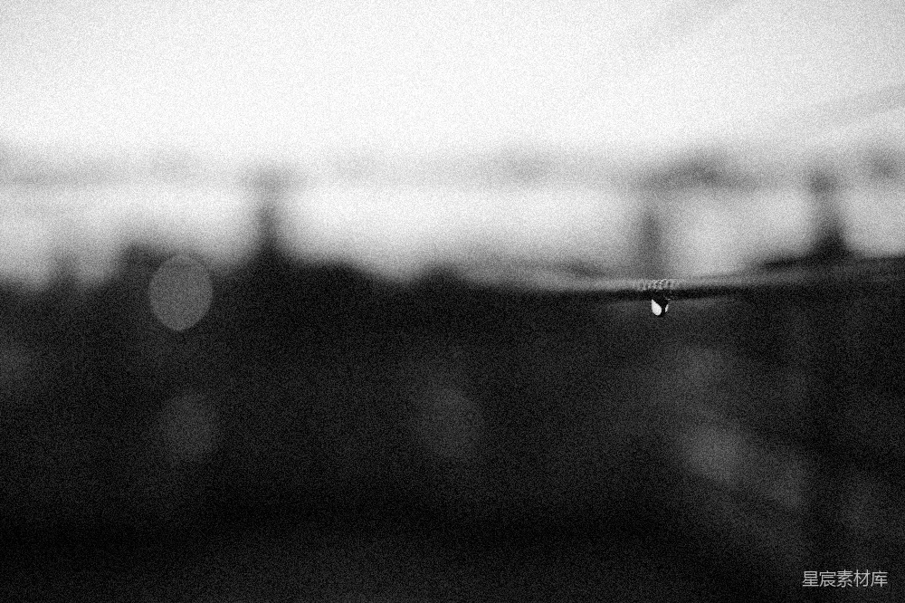 高清摄影 黑白色调 雨后景象 宁静氛围 吊绳特写 自然之美 雨后余晖中的吊绳与水滴
