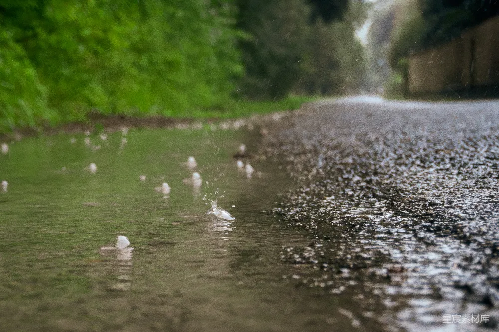 高清摄影 雨景 乡村 自然 宁静 雨滴 雨中的乡间小路
