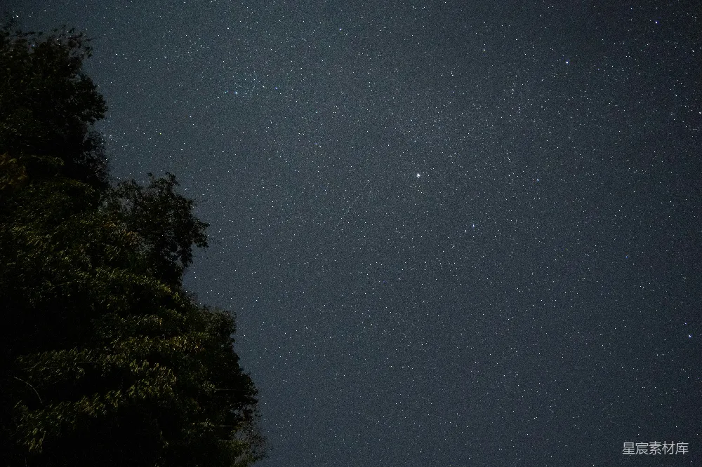 高清摄影 夜空 树木 星空 宁静 自然 星空下的树影