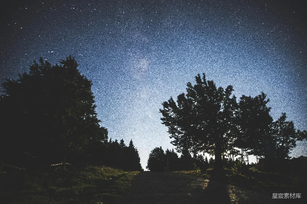 高清摄影 夜景 星空 自然 宁静 户外 夜空下的树影