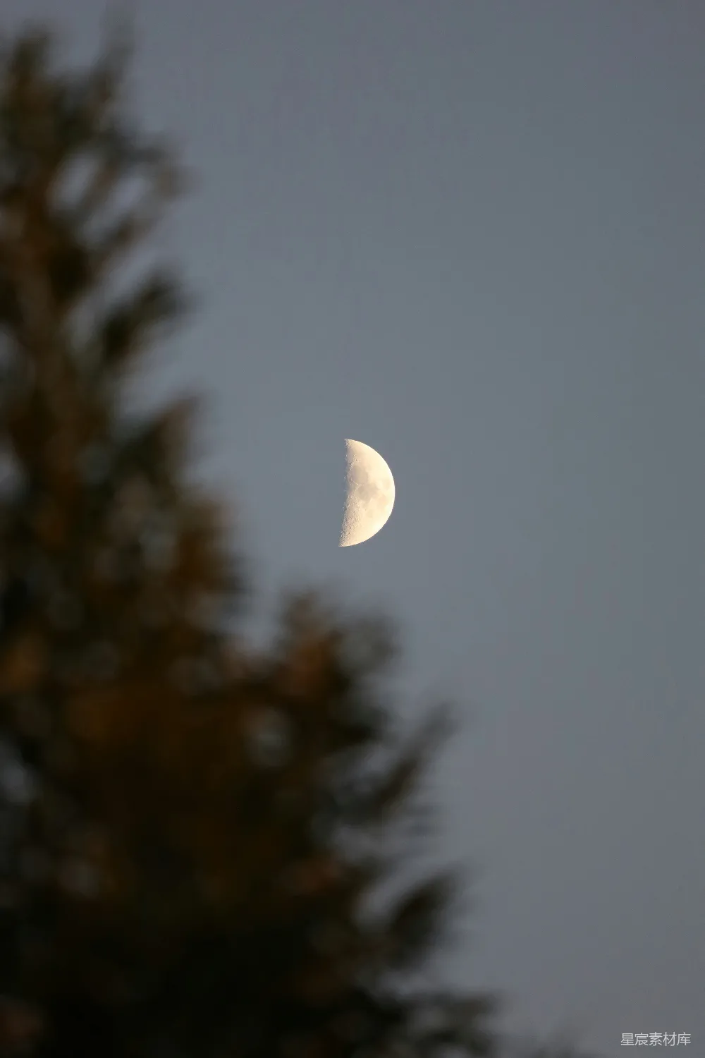 高清摄影 月夜 自然风景 宁静 浪漫 户外 夜空中的一弯新月