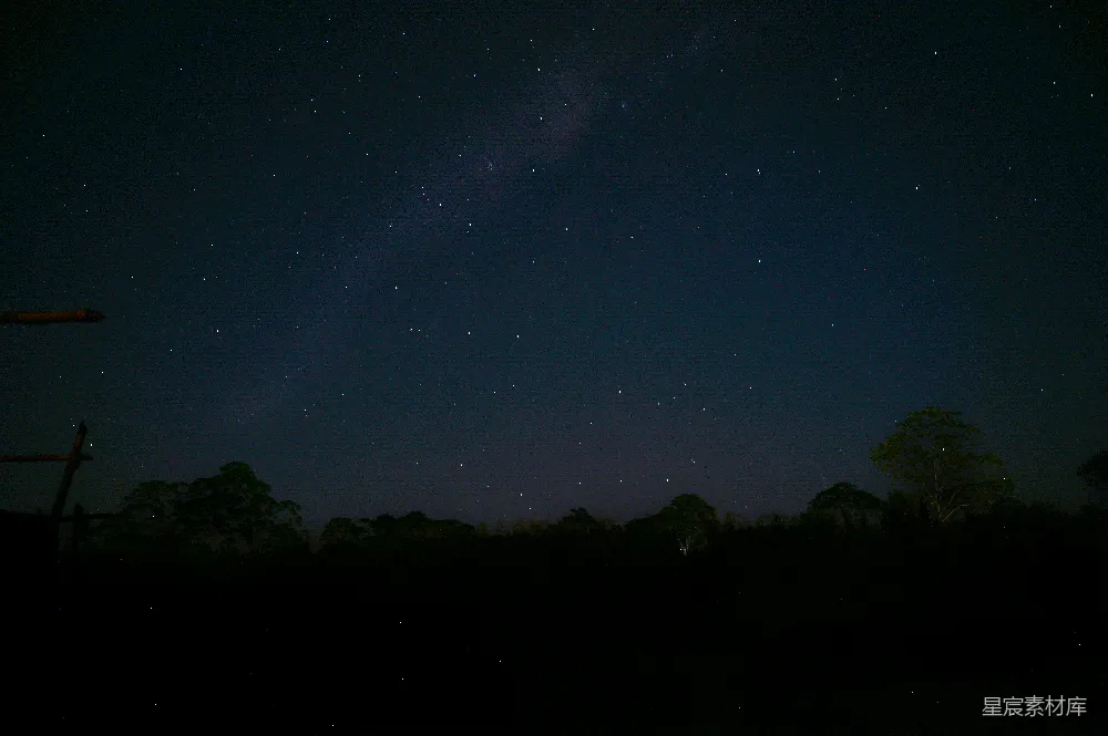 高清摄影 夜空 星星 树木 宁静 自然 夜晚的星空与树影