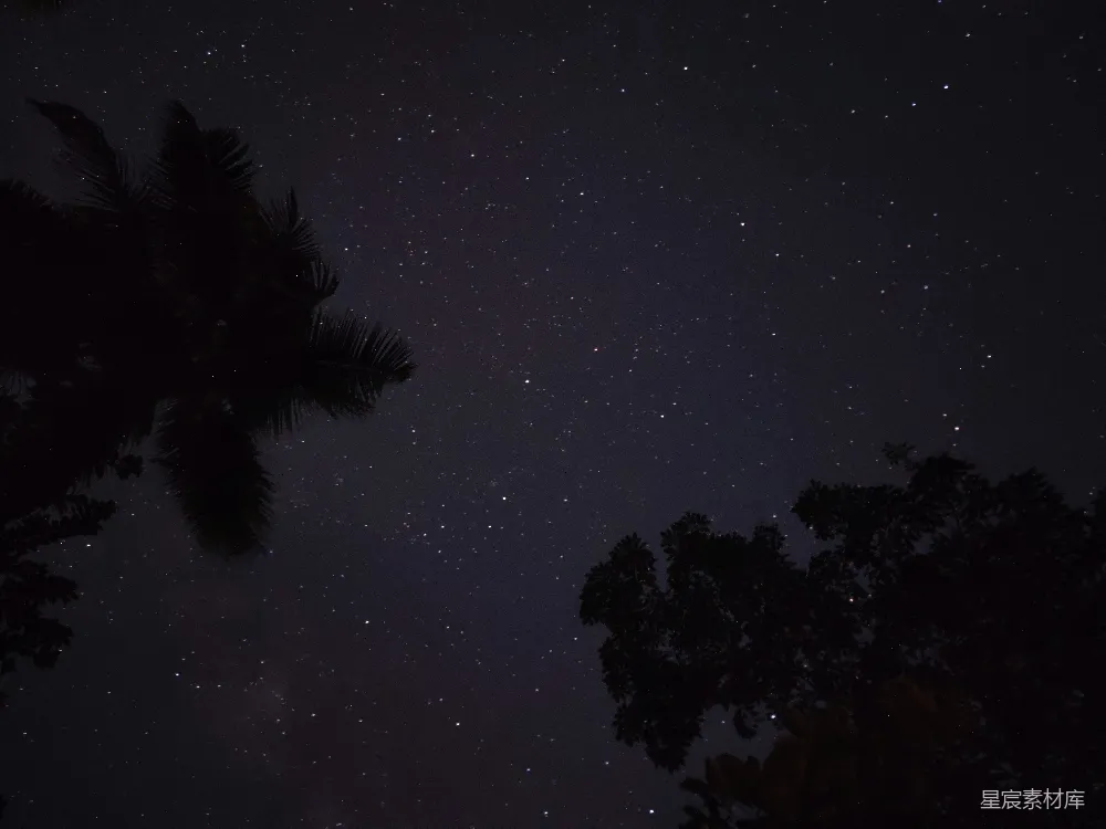 高清摄影 夜景 星空 自然 静谧 热带 星夜下的椰林