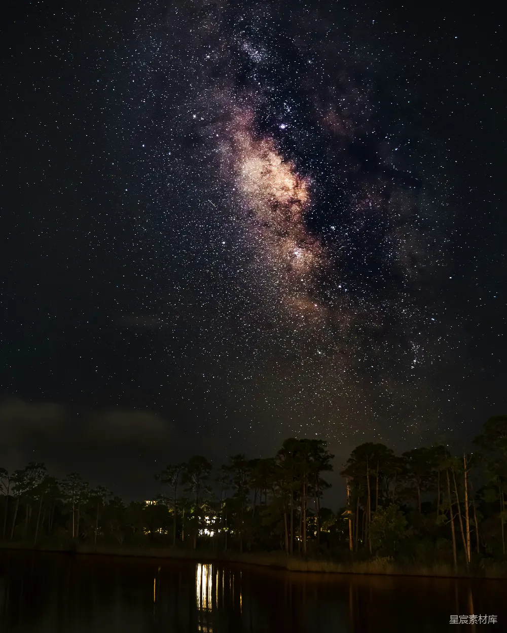 高清摄影 夜空 银河系 自然风光 宁静 星空 银河与静谧森林的夜晚