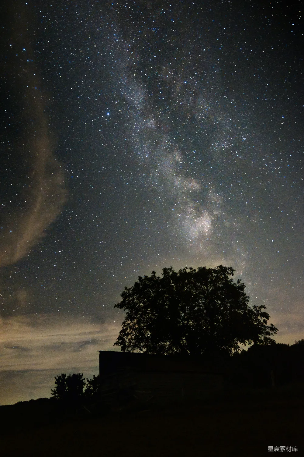 高清摄影 夜景 星空 自然 宁静 户外 树下星空下的宁静夜晚