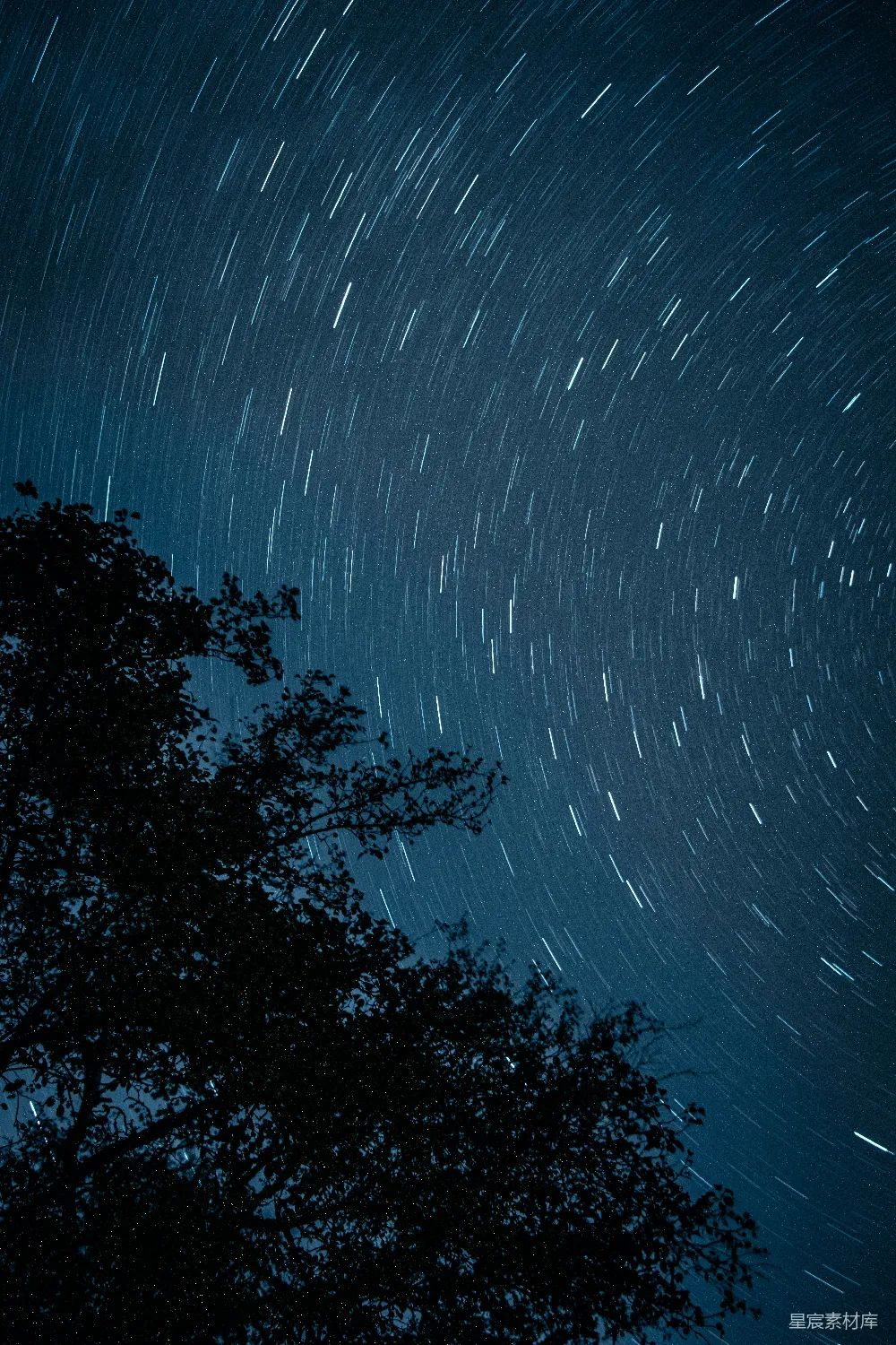 这张图片展示了夜晚的天空，星星的轨迹在夜空中留下长长的线条，而前景中的一棵树则为画面增添了一丝静谧与神秘。星空的宁静与树的轮廓形成了完美的对比，给人一种深邃而悠远的感觉。
