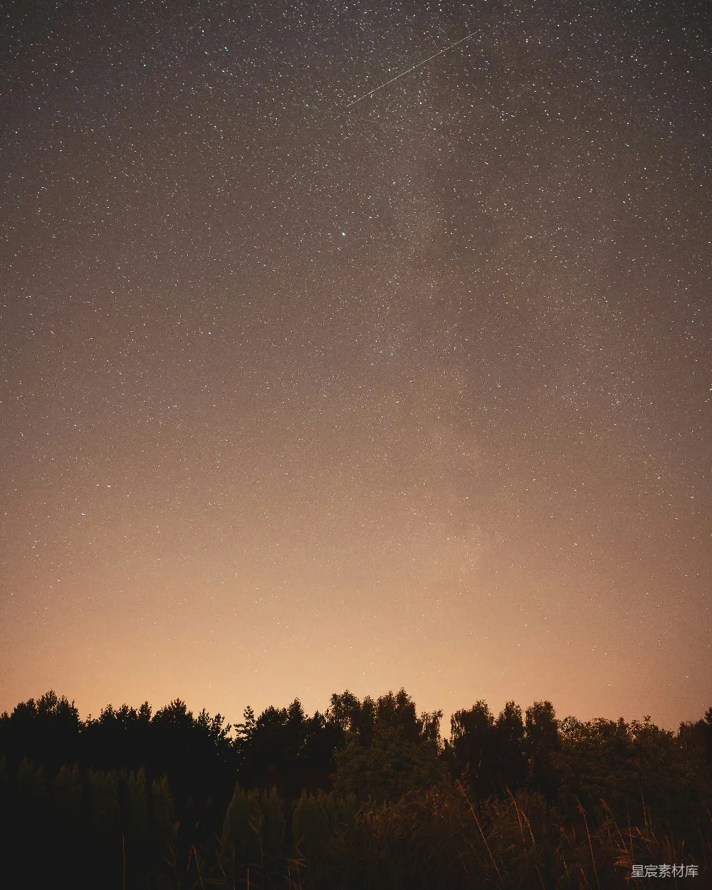 高清摄影 夜空 星星 森林 宁静 自然 星夜下的森林