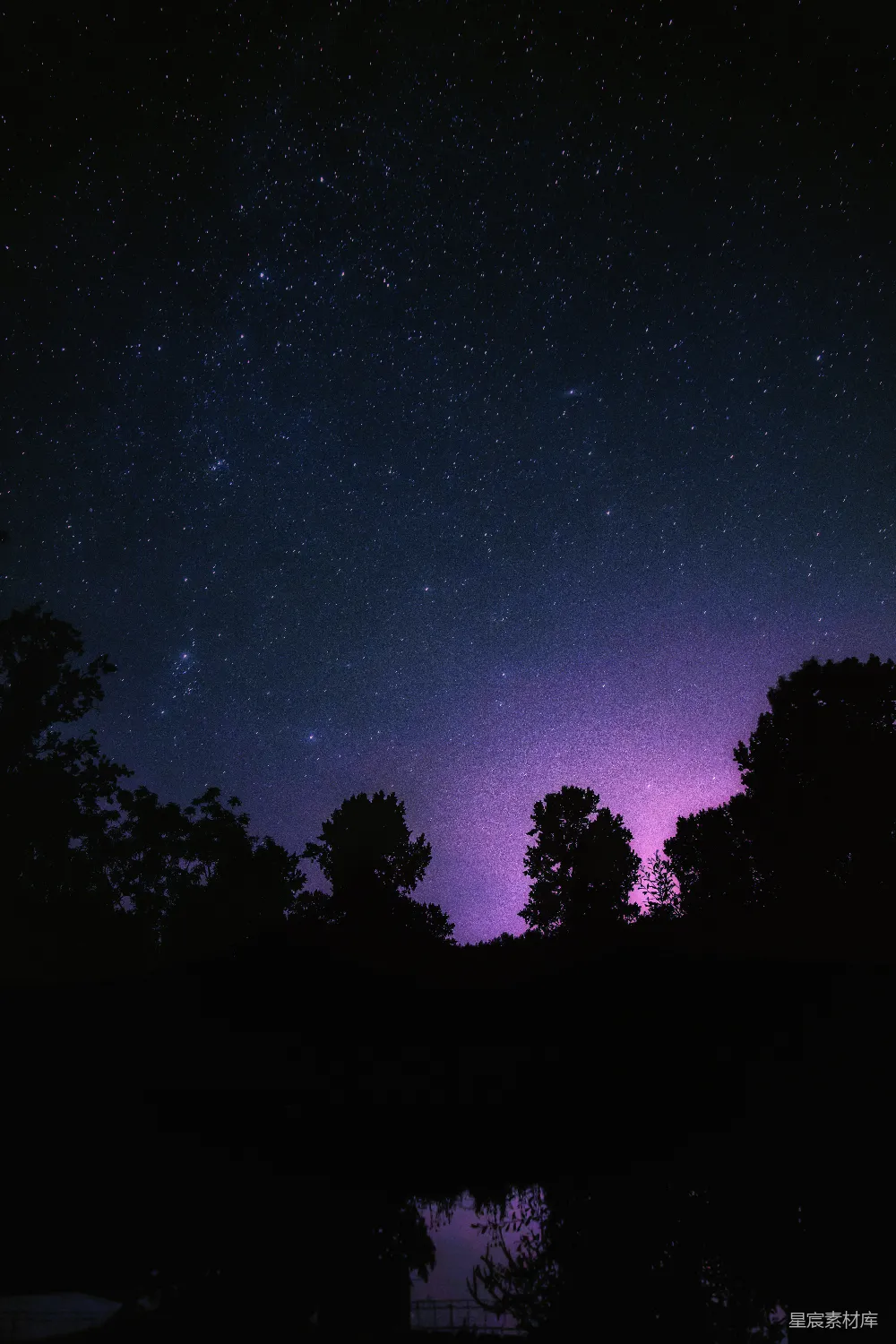 高清摄影 星空 自然 宁静 风景 树影 夜空下的森林剪影