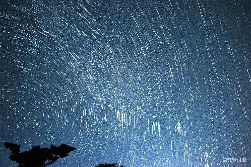 高清摄影 星空 星轨 夜景 自然美 宁静 星空轨迹与夜幕下的树影