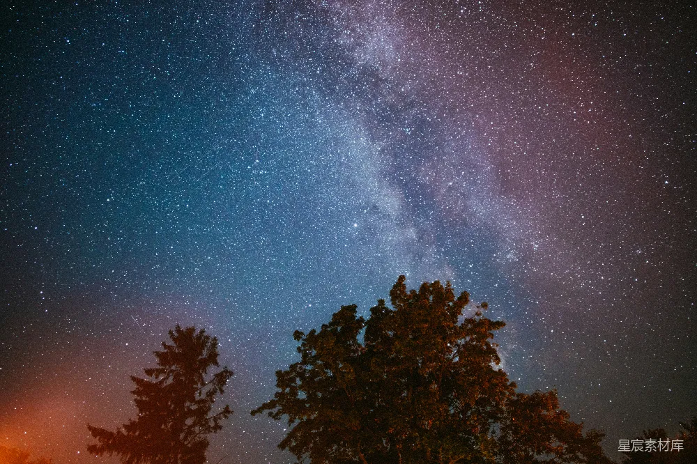 高清摄影 夜空 银河 星空 自然 宁静 夜空下的银河与树影