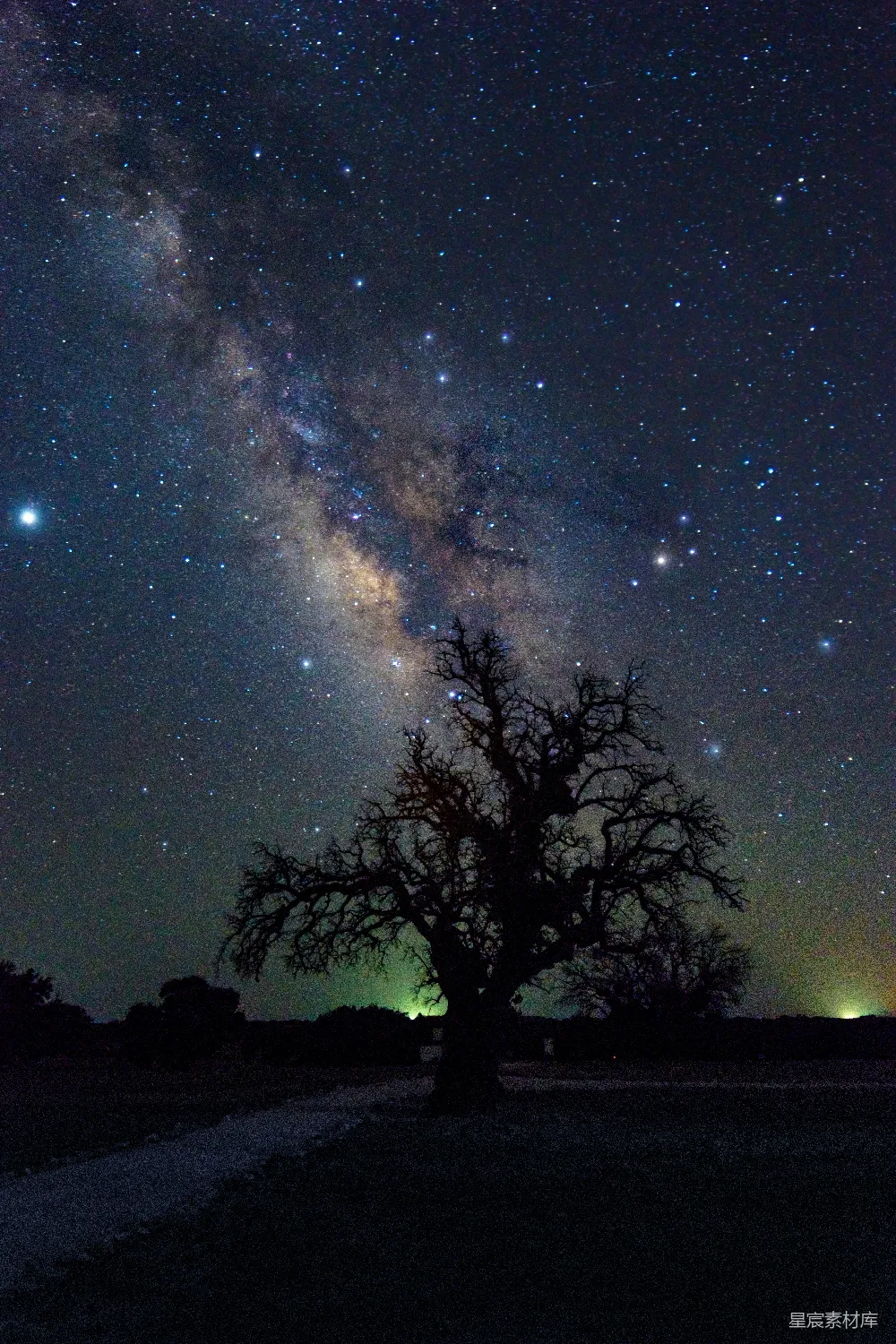 这是一张夜空下的照片，银河清晰可见，繁星点点。画面中央有一棵孤独的树，树干和树枝在黑暗中形成剪影，给人一种静谧而神秘的感觉。这种场景适合用作自然风光、天文摄影或孤独主题的背景。